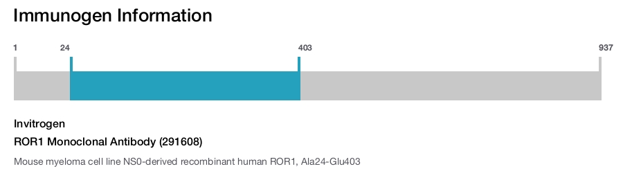 ROR1 Monoclonal Antibody (291608)