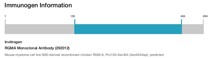 RGMA Monoclonal Antibody (292012)