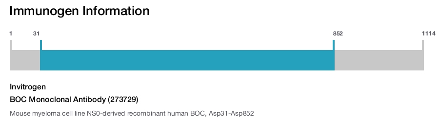 BOC Monoclonal Antibody (273729)