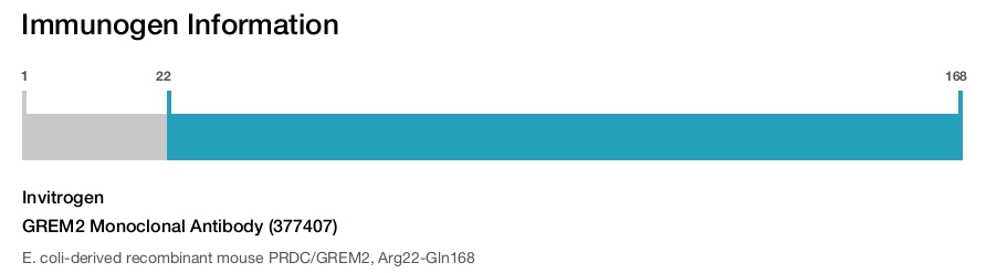 GREM2 Monoclonal Antibody (377407)