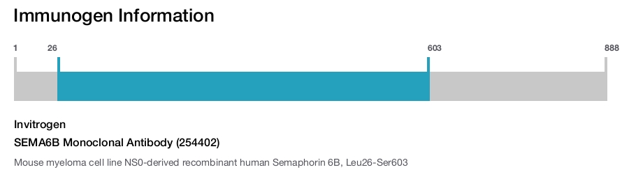 SEMA6B Monoclonal Antibody (254402)