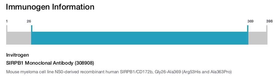 SIRPB1 Monoclonal Antibody (308908)
