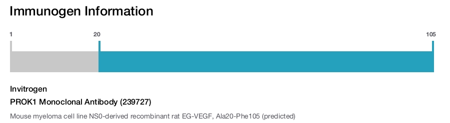 PROK1 Monoclonal Antibody (239727)