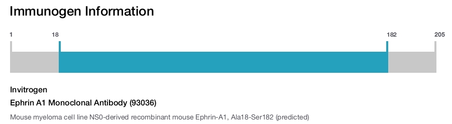 Ephrin A1 Monoclonal Antibody (93036)