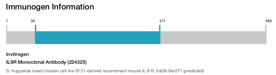 IL9R Monoclonal Antibody (224325)
