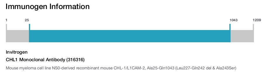 CHL1 Monoclonal Antibody (316316)