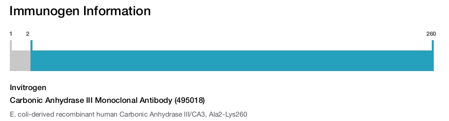 Carbonic Anhydrase III Monoclonal Antibody (495018)