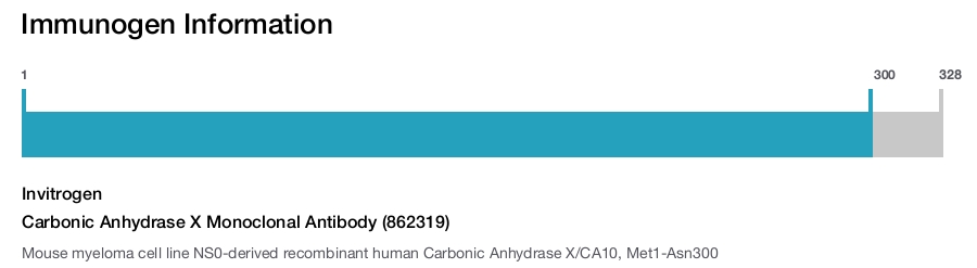 Carbonic Anhydrase X Monoclonal Antibody (862319)