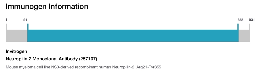 Neuropilin 2 Monoclonal Antibody (257107)