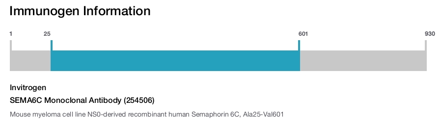 SEMA6C Monoclonal Antibody (254506)