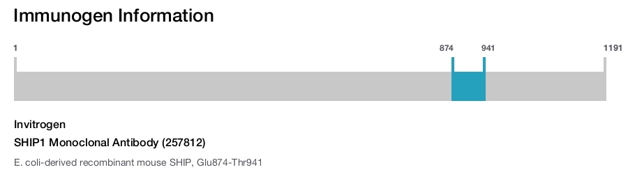 SHIP1 Monoclonal Antibody (257812)