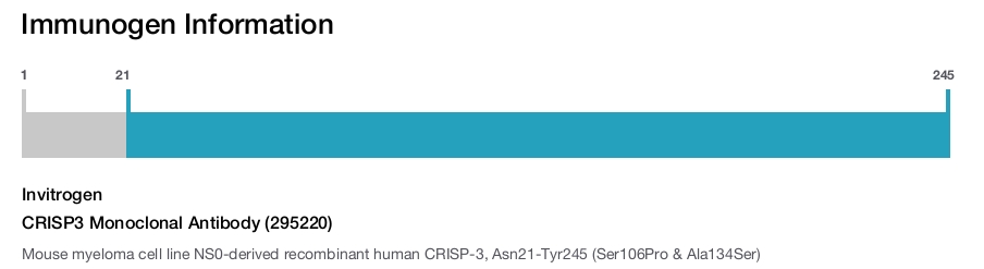 CRISP3 Monoclonal Antibody (295220)