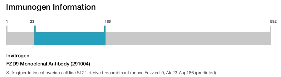 FZD9 Monoclonal Antibody (291004)