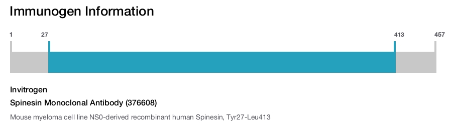 Spinesin Monoclonal Antibody (376608)