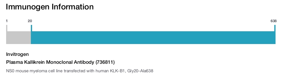 Plasma Kallikrein Monoclonal Antibody (736811)