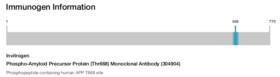 Phospho-Amyloid Precursor Protein (Thr668) Monoclonal Antibody (304904)