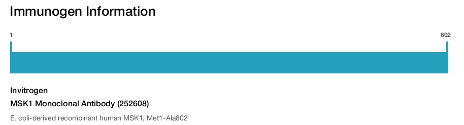 MSK1 Monoclonal Antibody (252608)