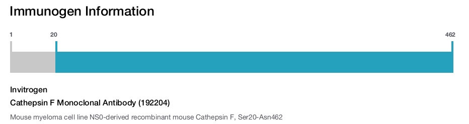 Cathepsin F Monoclonal Antibody (192204)