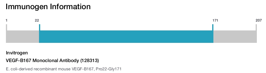 VEGF-B167 Monoclonal Antibody (128313)