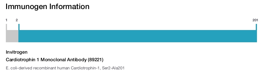 Cardiotrophin 1 Monoclonal Antibody (89221)