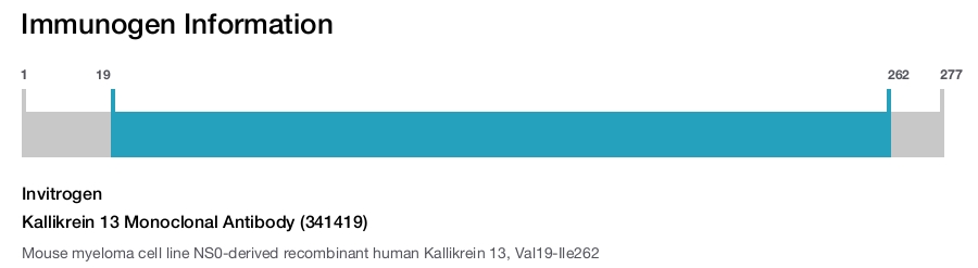 Kallikrein 13 Monoclonal Antibody (341419)