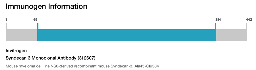 Syndecan 3 Monoclonal Antibody (312607)