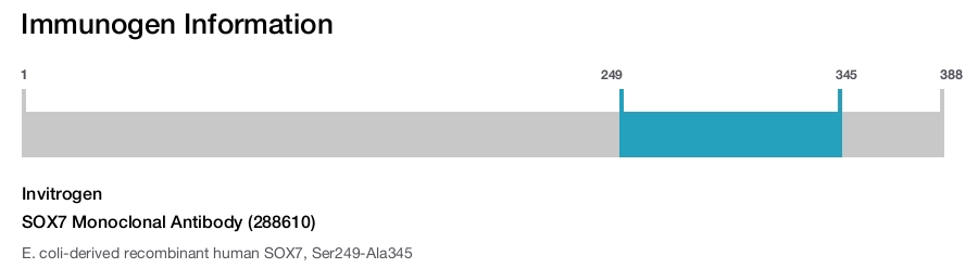 SOX7 Monoclonal Antibody (288610)