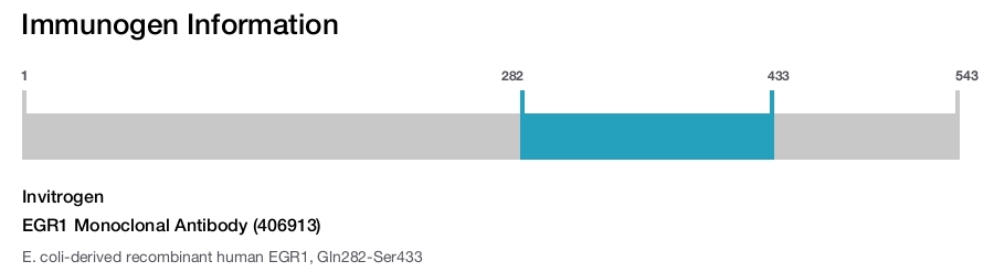 EGR1 Monoclonal Antibody (406913)