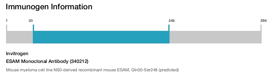 ESAM Monoclonal Antibody (340212)