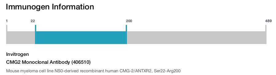 CMG2 Monoclonal Antibody (406510)