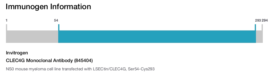 CLEC4G Monoclonal Antibody (845404)