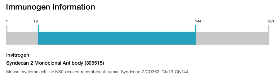 Syndecan 2 Monoclonal Antibody (305515)