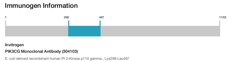 PIK3CG Monoclonal Antibody (304103)