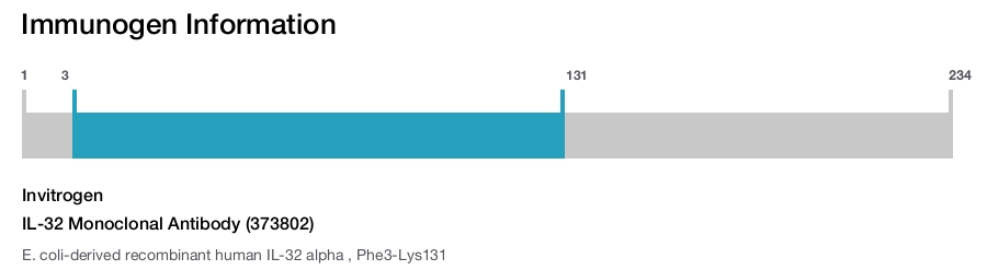 IL-32 Monoclonal Antibody (373802)
