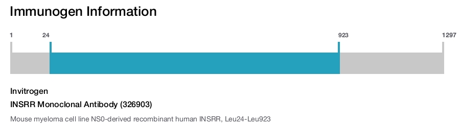 INSRR Monoclonal Antibody (326903)