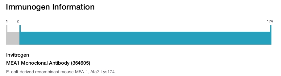MEA1 Monoclonal Antibody (364605)