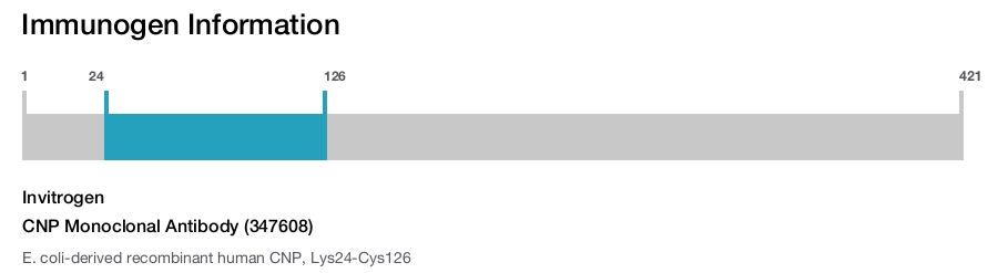 CNP Monoclonal Antibody (347608)
