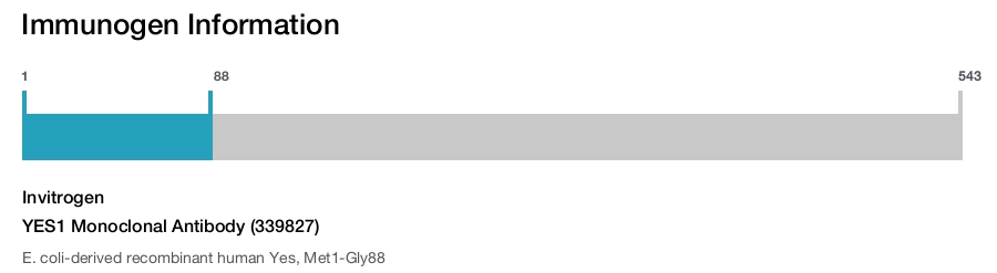 YES1 Monoclonal Antibody (339827)