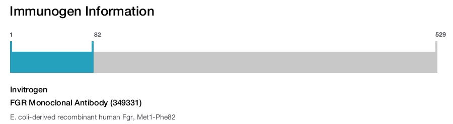 FGR Monoclonal Antibody (349331)