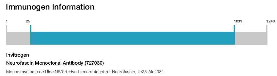 Neurofascin Monoclonal Antibody (727030)