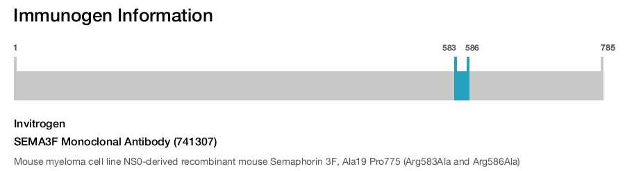 SEMA3F Monoclonal Antibody (741307)