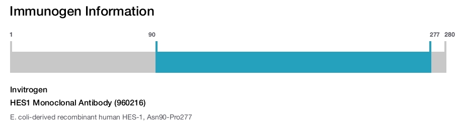 HES1 Monoclonal Antibody (960216)