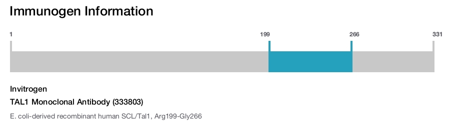 TAL1 Monoclonal Antibody (333803)