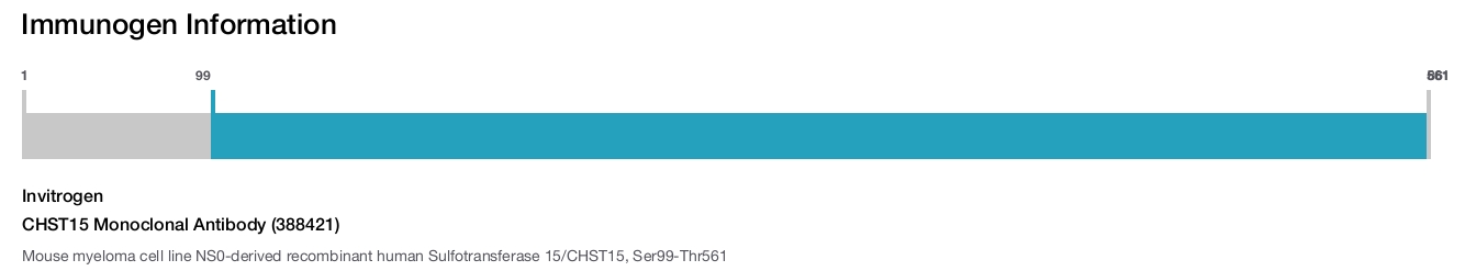 CHST15 Monoclonal Antibody (388421)