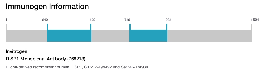 DISP1 Monoclonal Antibody (768213)