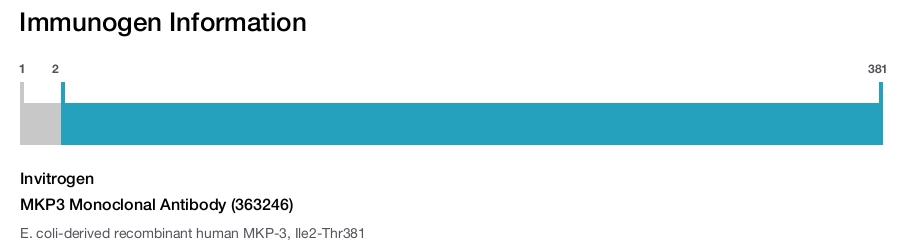MKP3 Monoclonal Antibody (363246)