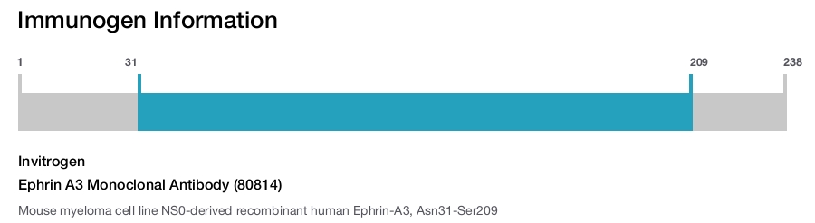 Ephrin A3 Monoclonal Antibody (80814)