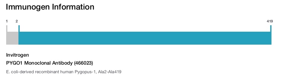 PYGO1 Monoclonal Antibody (466023)
