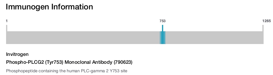 Phospho-PLCG2 (Tyr753) Monoclonal Antibody (790623)