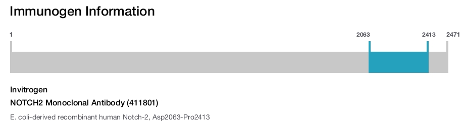 NOTCH2 Monoclonal Antibody (411801)